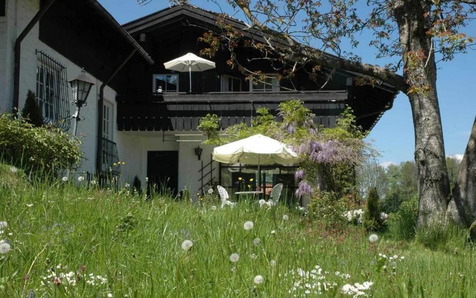 Ferienhaus Nest Blaichach Exterior photo
